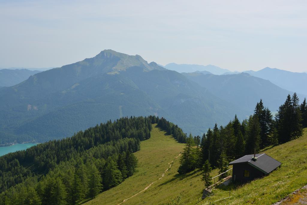Appart Weisse Urlauben Am Wolfgangsee