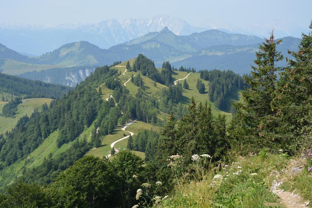 Appart Weisse Urlauben Am Wolfgangsee * Sankt Gilgen